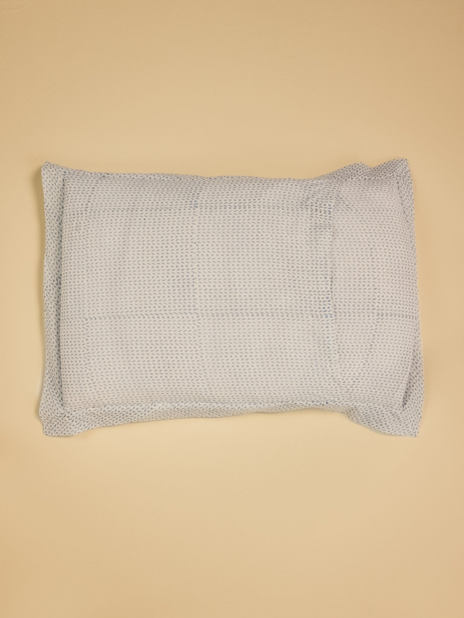 Udaipur Pillow Cover (Set of 2)