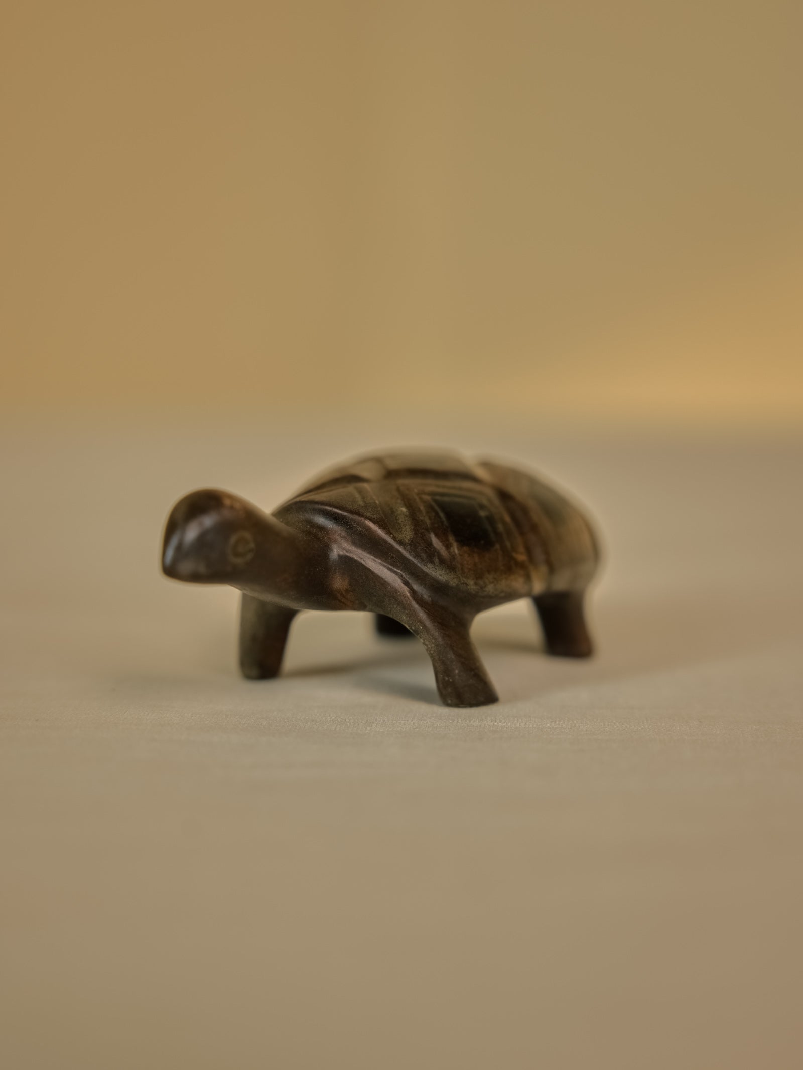 Tortoise Small