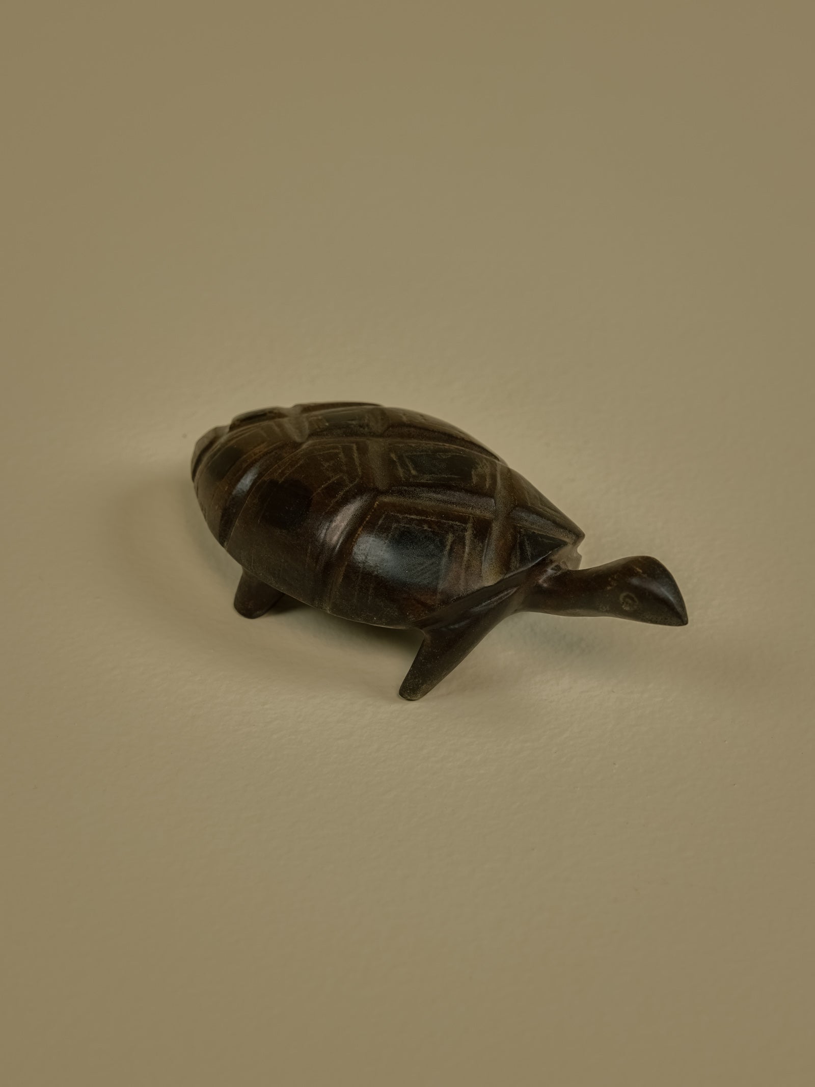 Tortoise Small