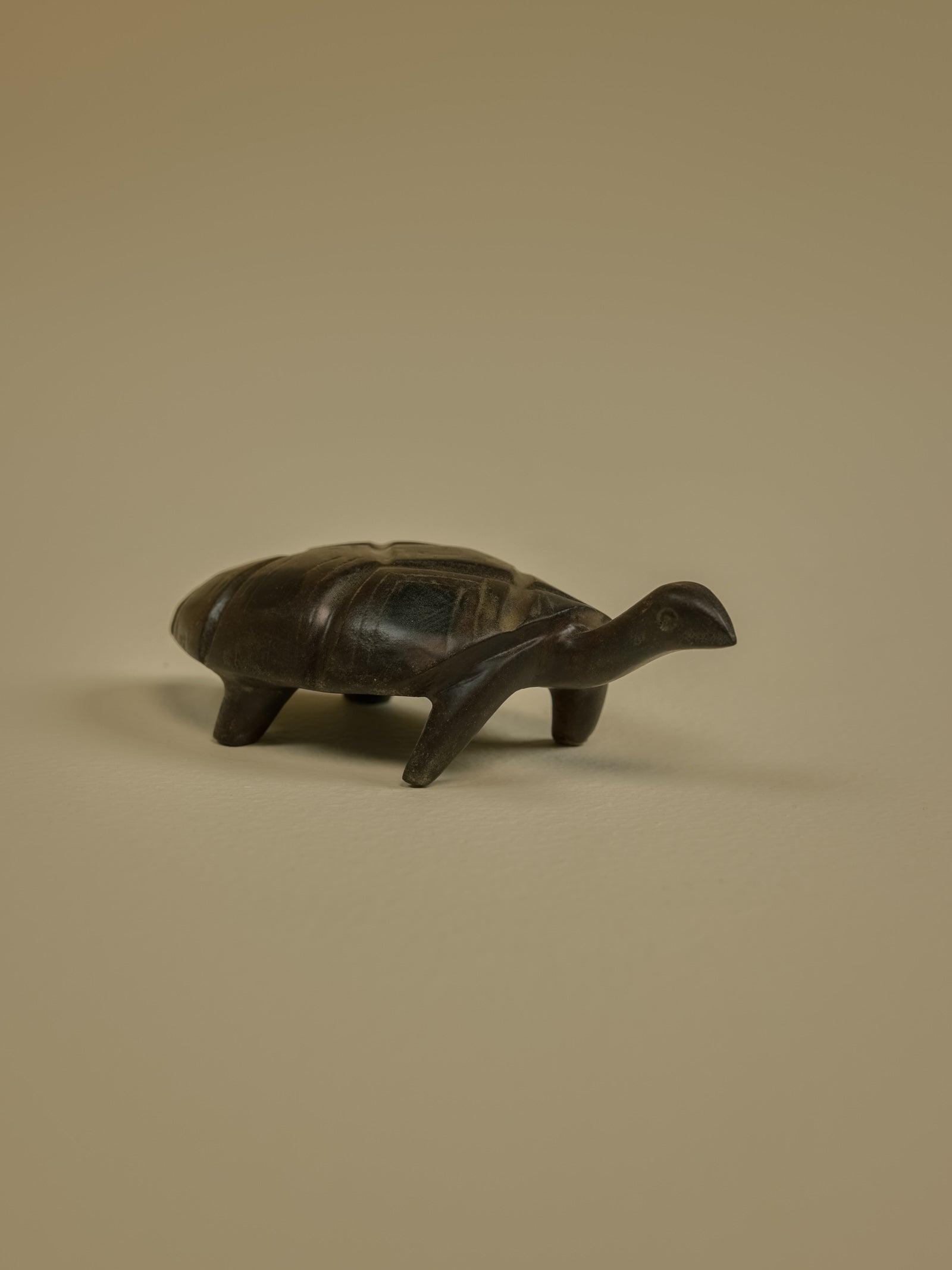 Tortoise Small