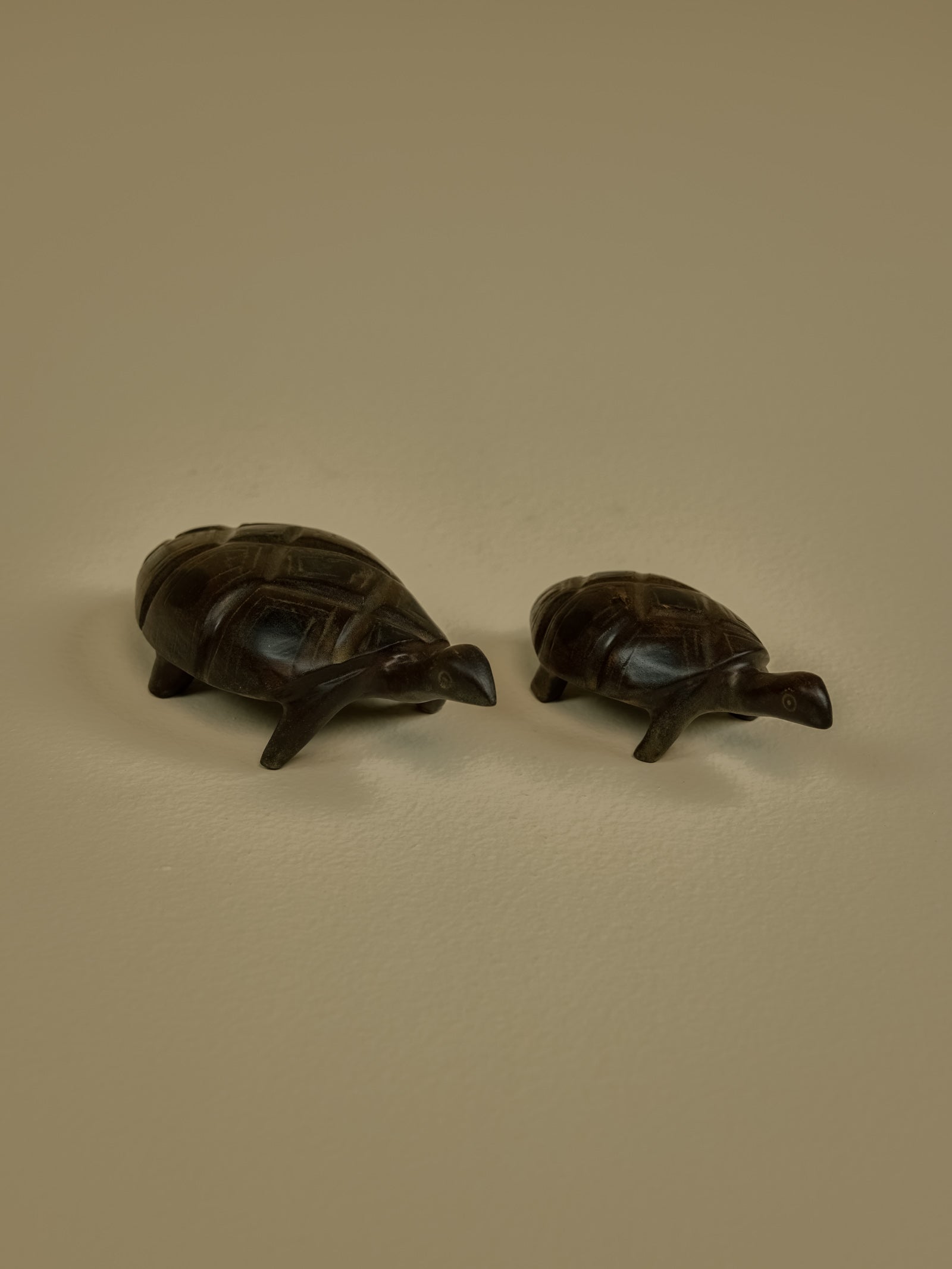 Tortoise Small