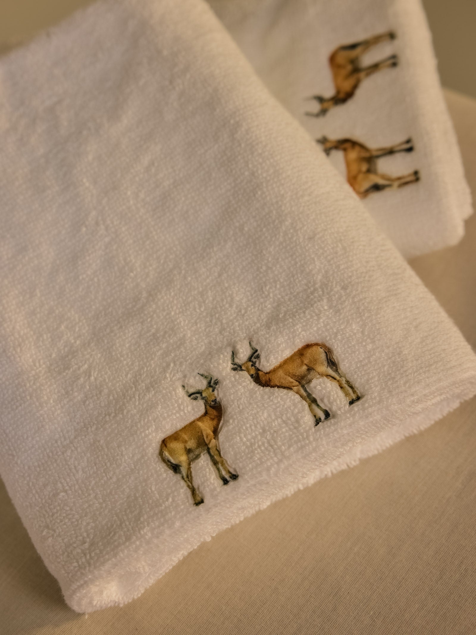 Reedbuck White Hand Towel (Set of 2)