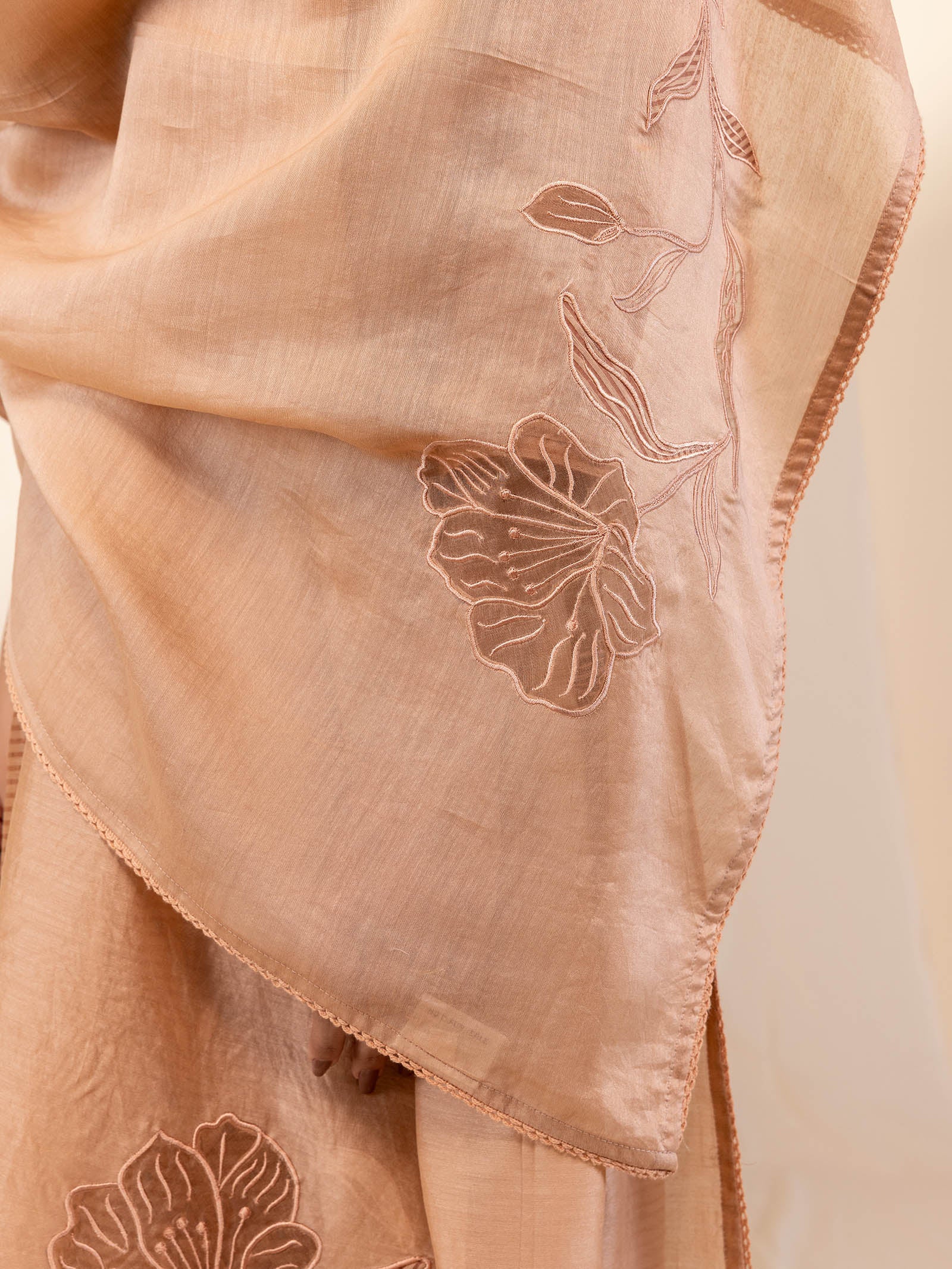 Skin Tones Honey Chanderi Dupatta