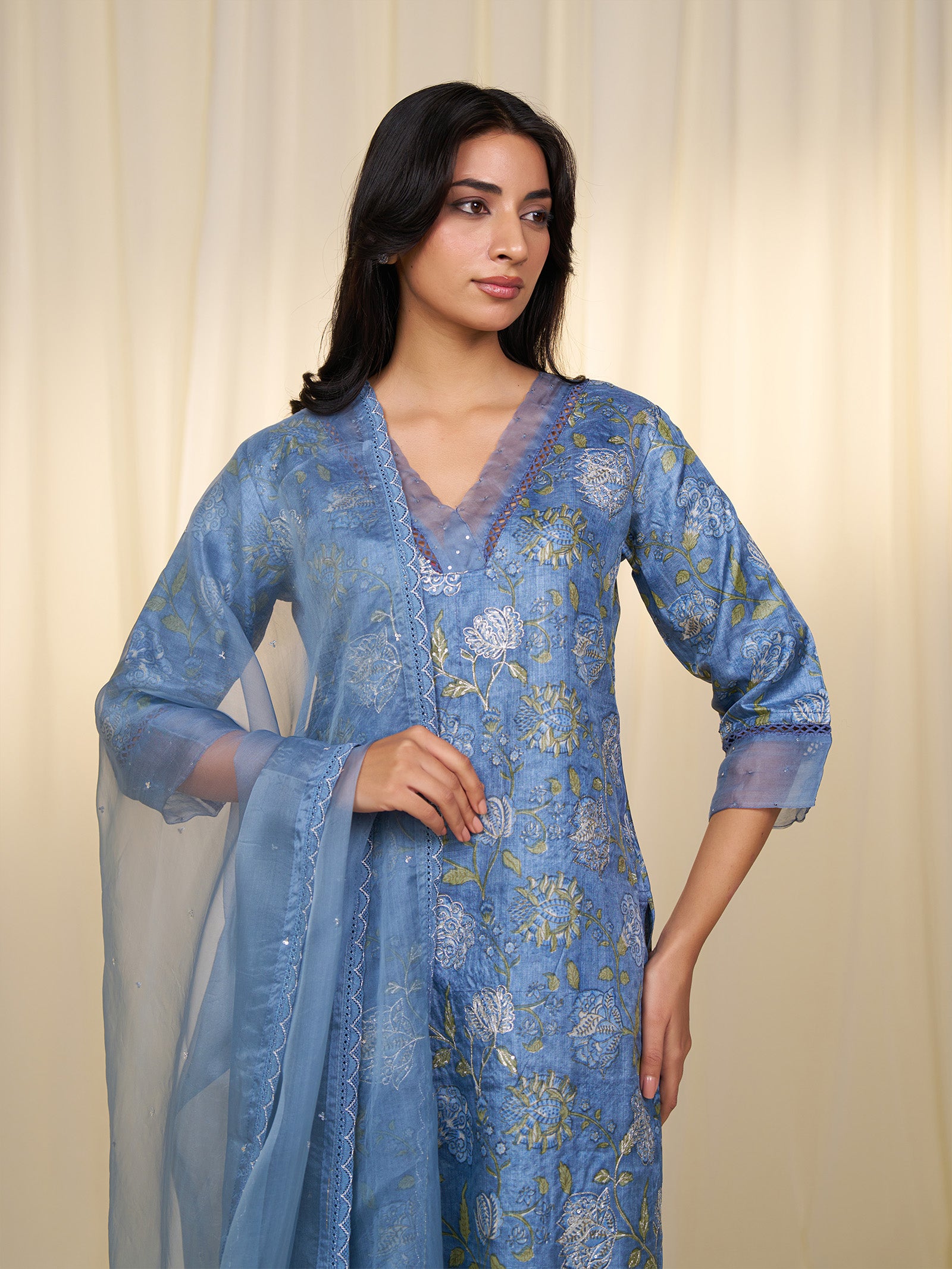 Neel Tara Organza Dupatta