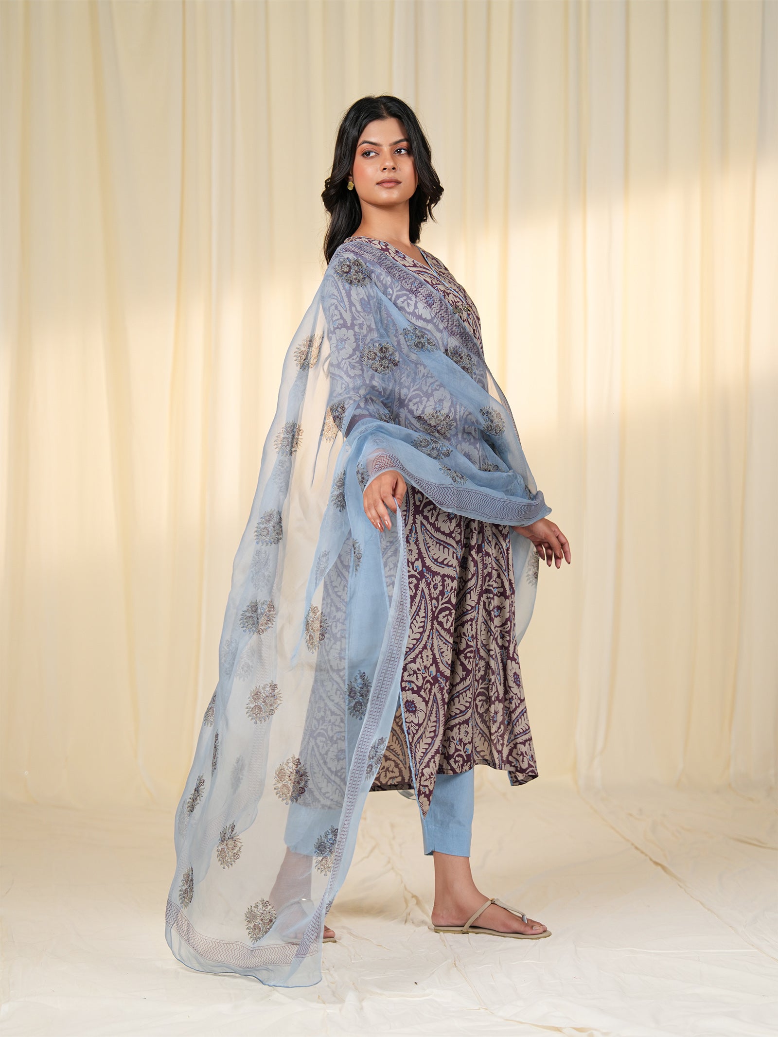 Madhuban Organza Dupatta