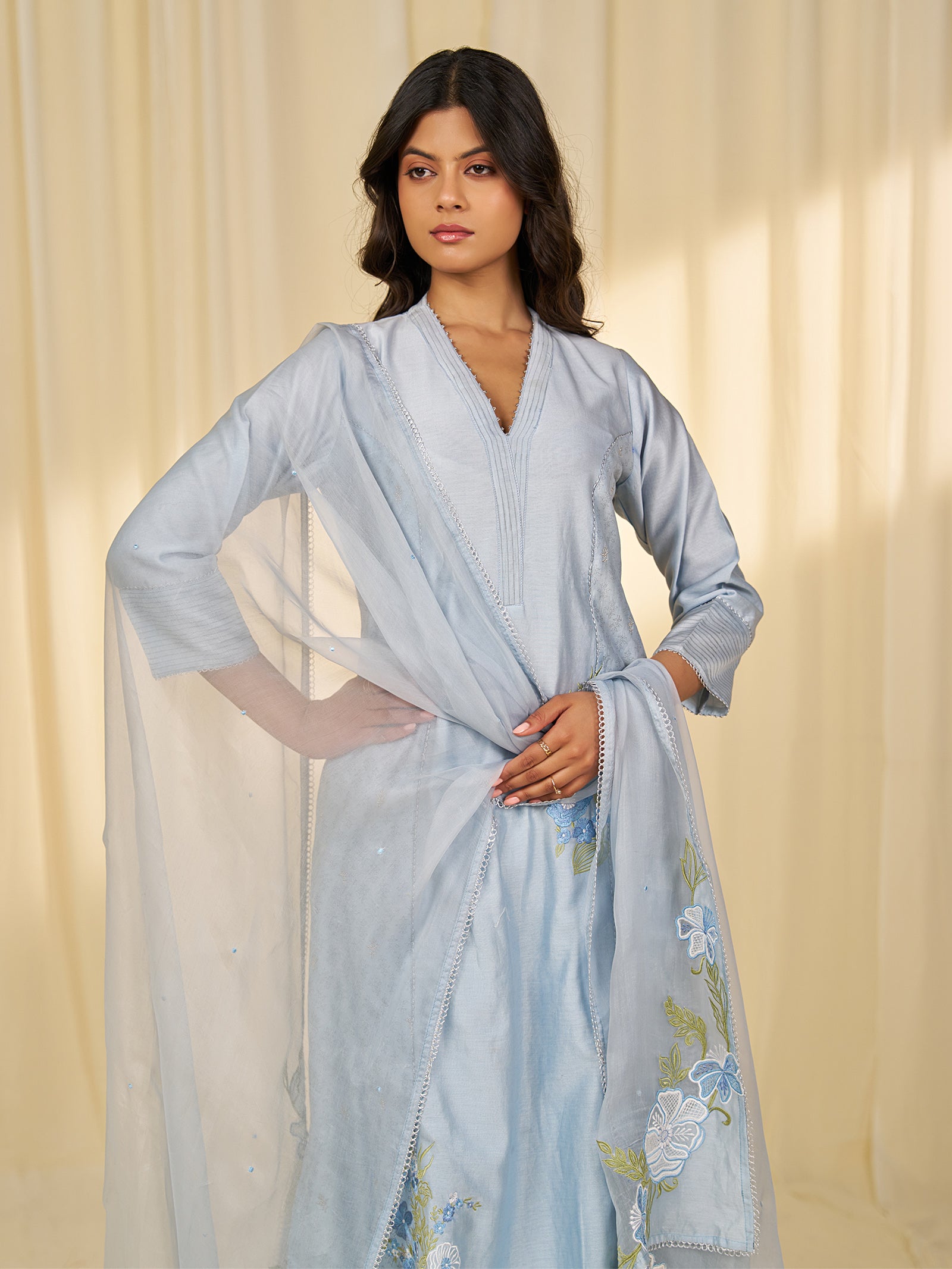 Naturals Blue Organza Dupatta