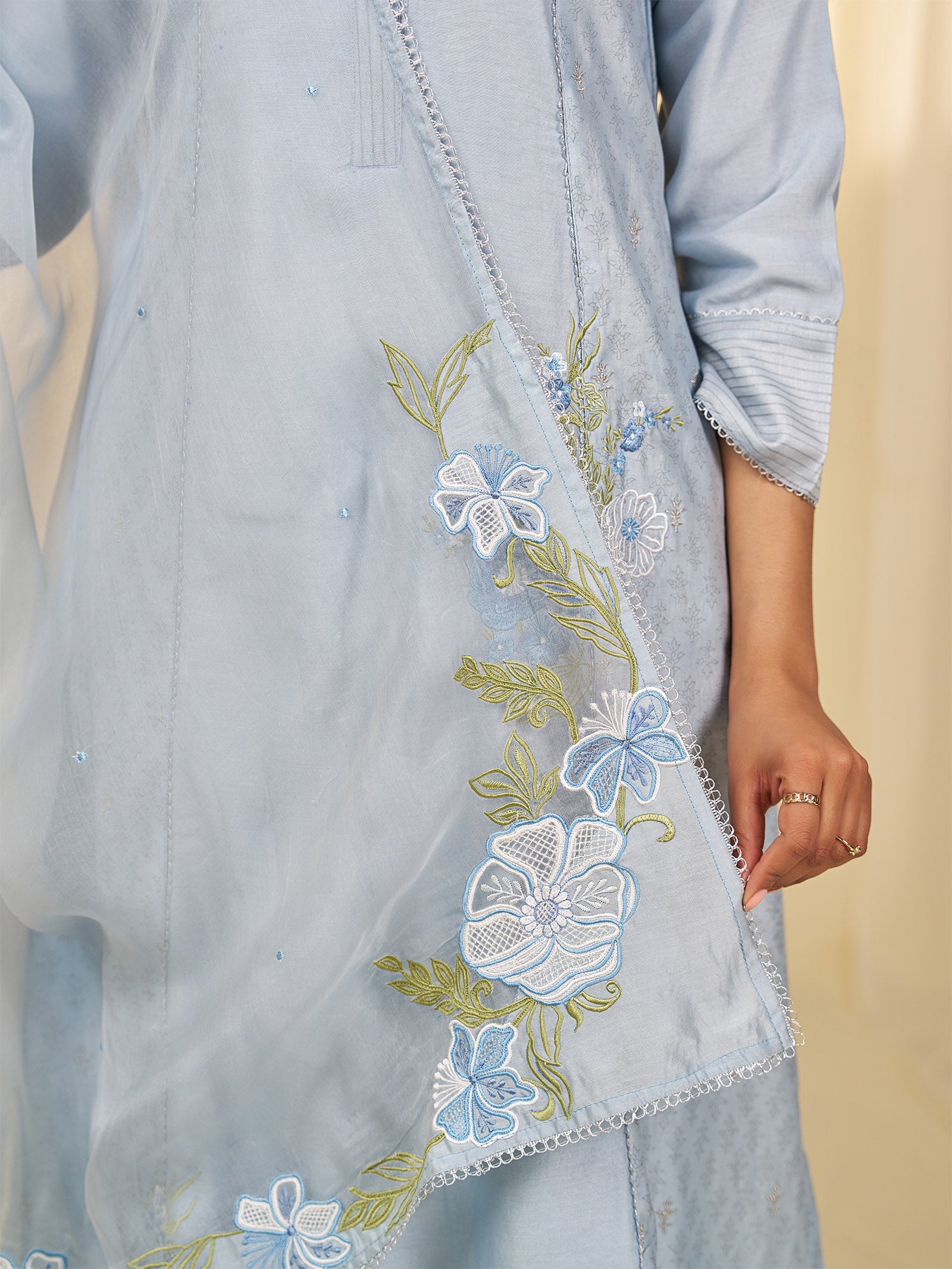 Naturals Blue Organza Dupatta