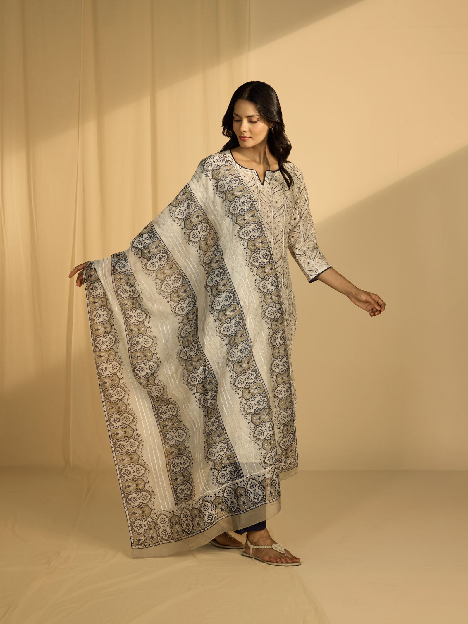 Dust Chanderi Dupatta