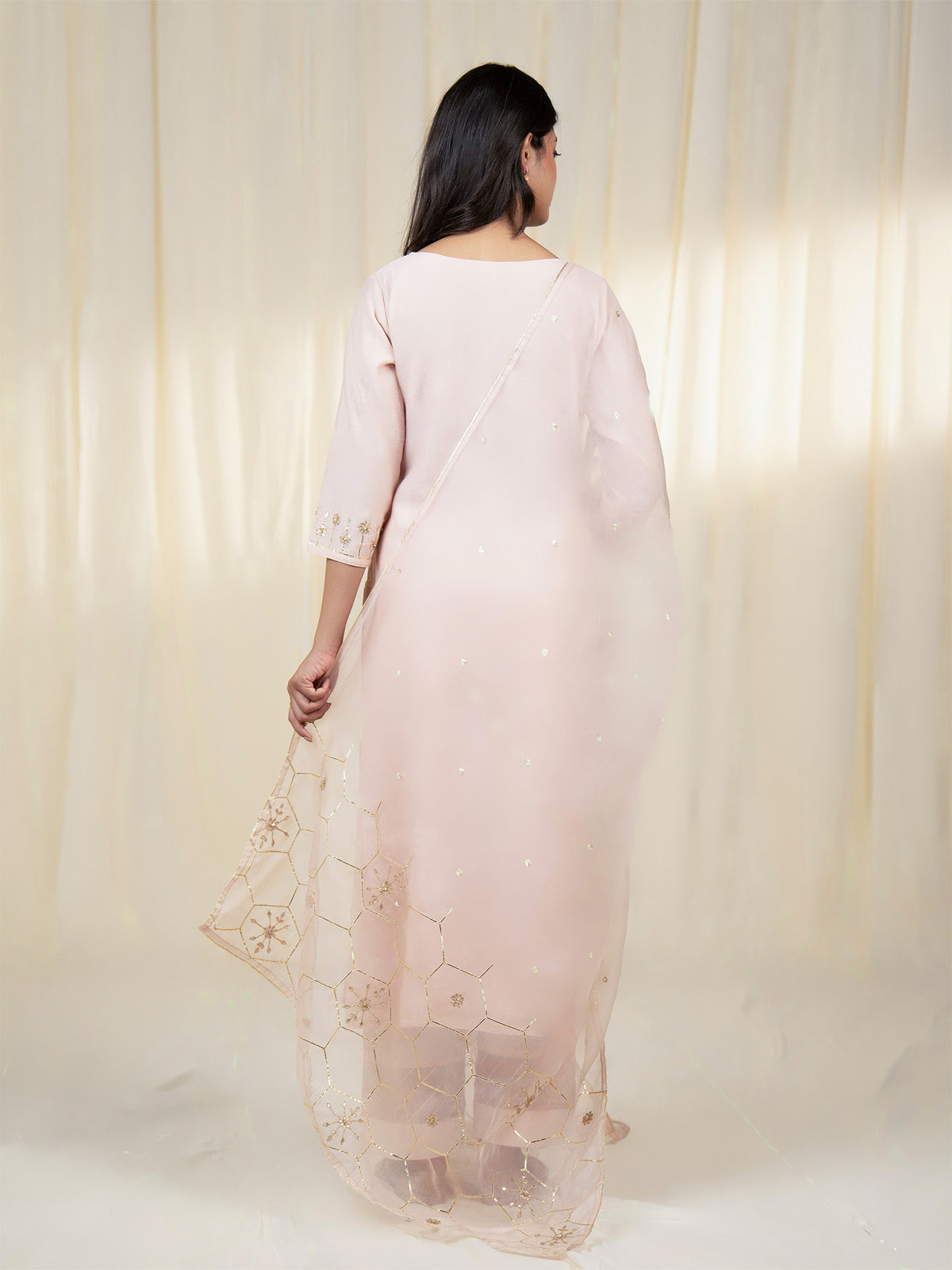 Chama-Cham Blush Organza Dupatta
