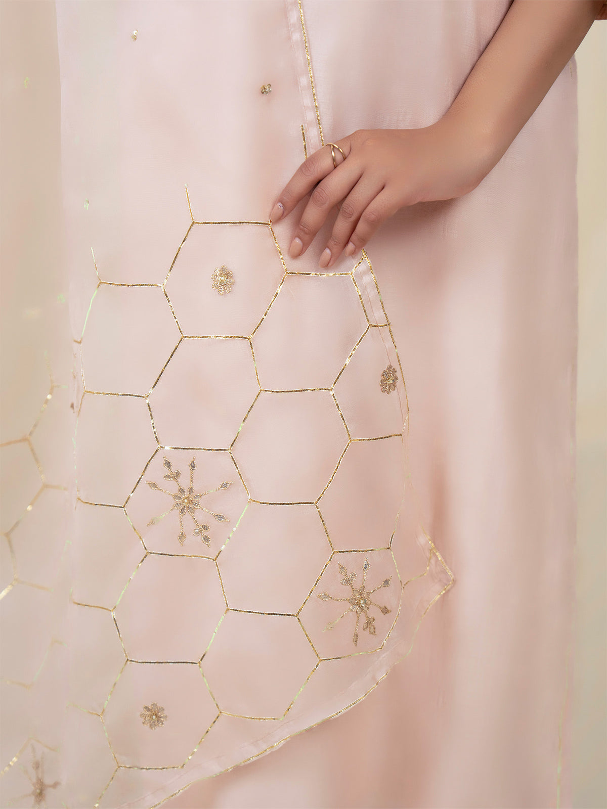 Chama-Cham Blush Organza Dupatta