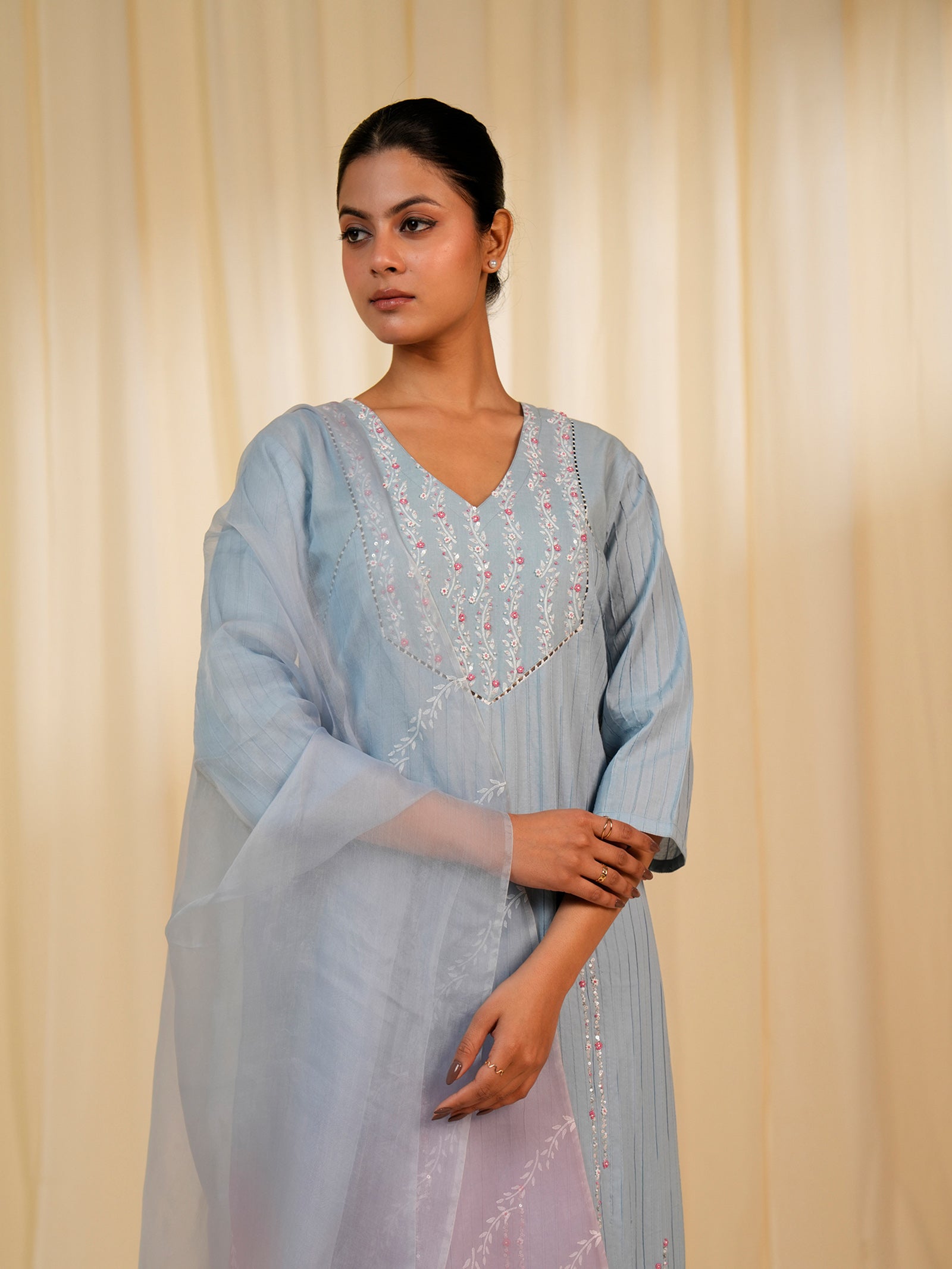 Faguni Plain Organza Dupatta