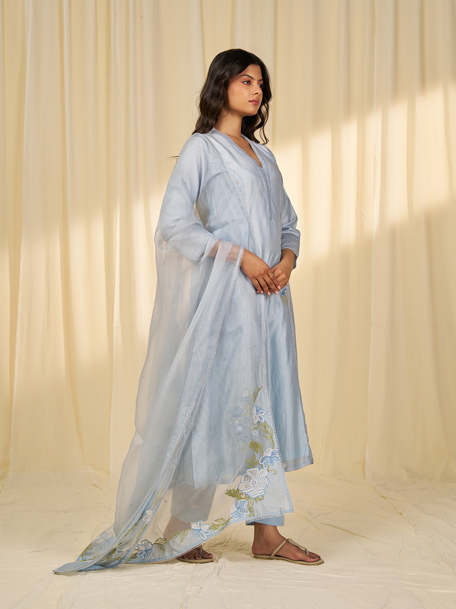 Naturals Blue Organza Dupatta