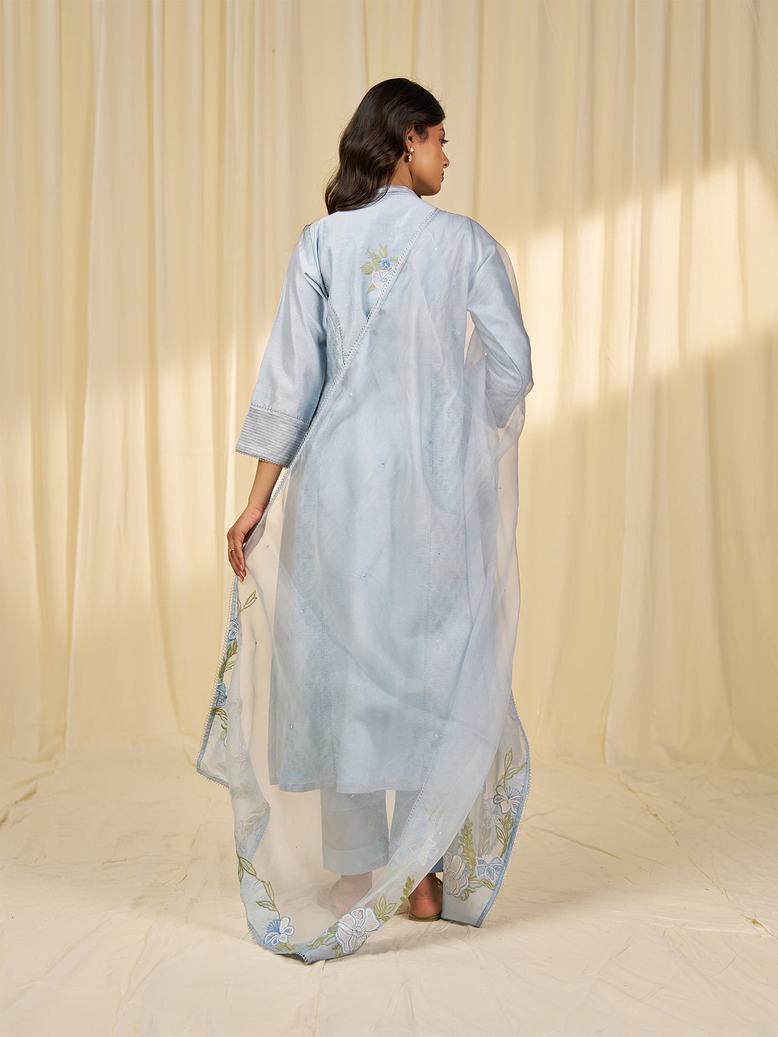 Naturals Blue Organza Dupatta