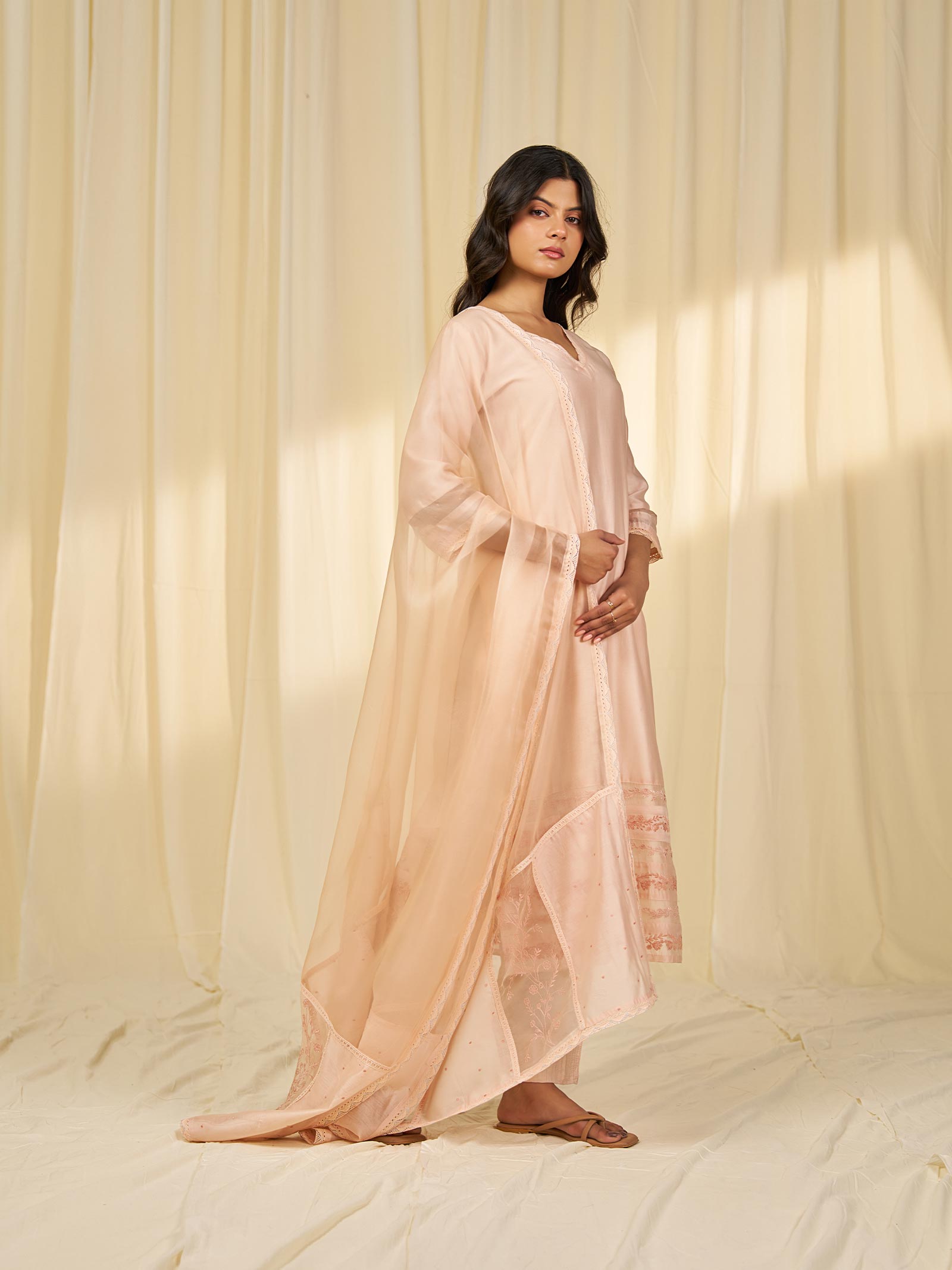 Naturals Blush Organza Dupatta