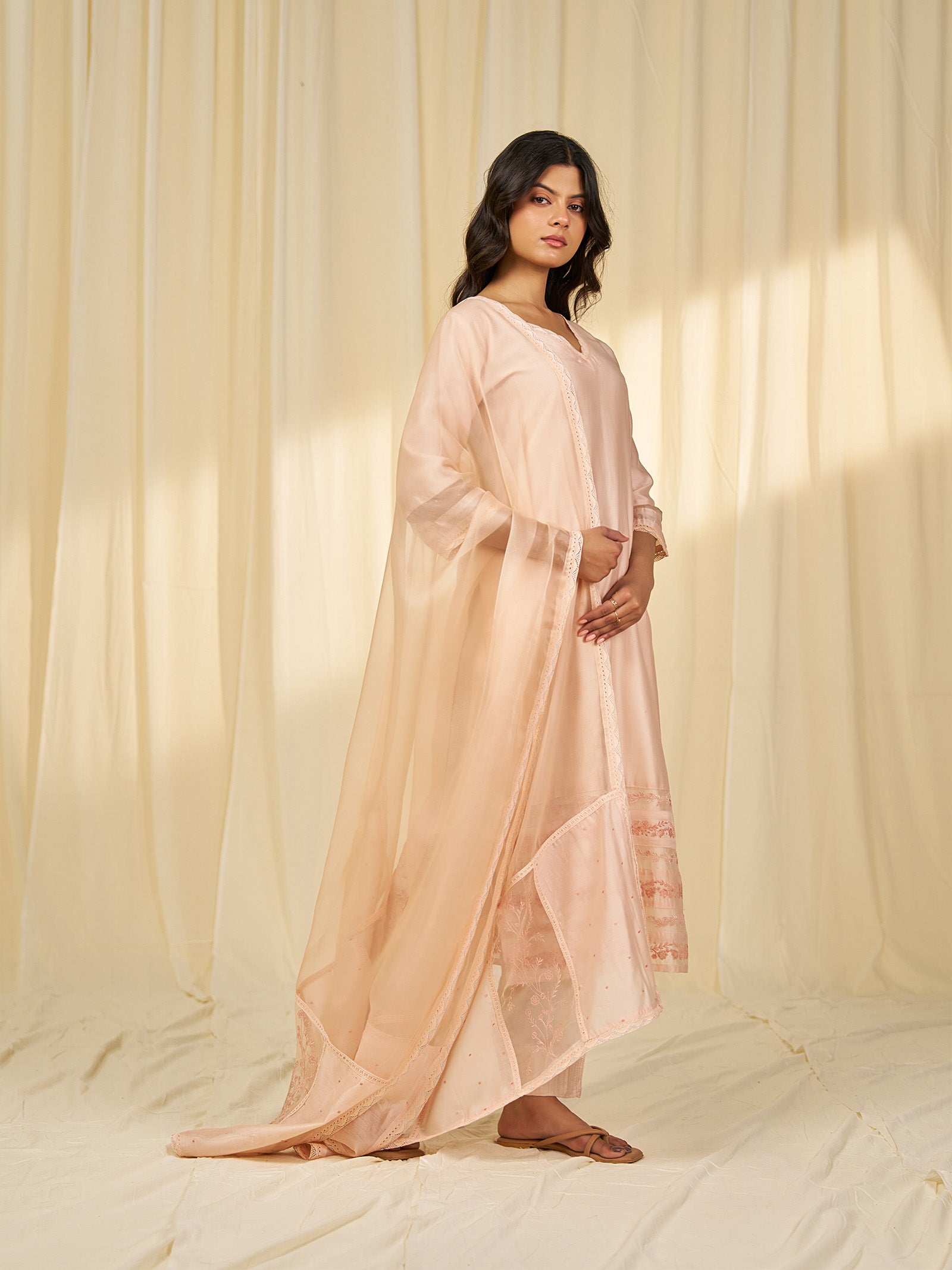 Naturals Blush Organza Dupatta