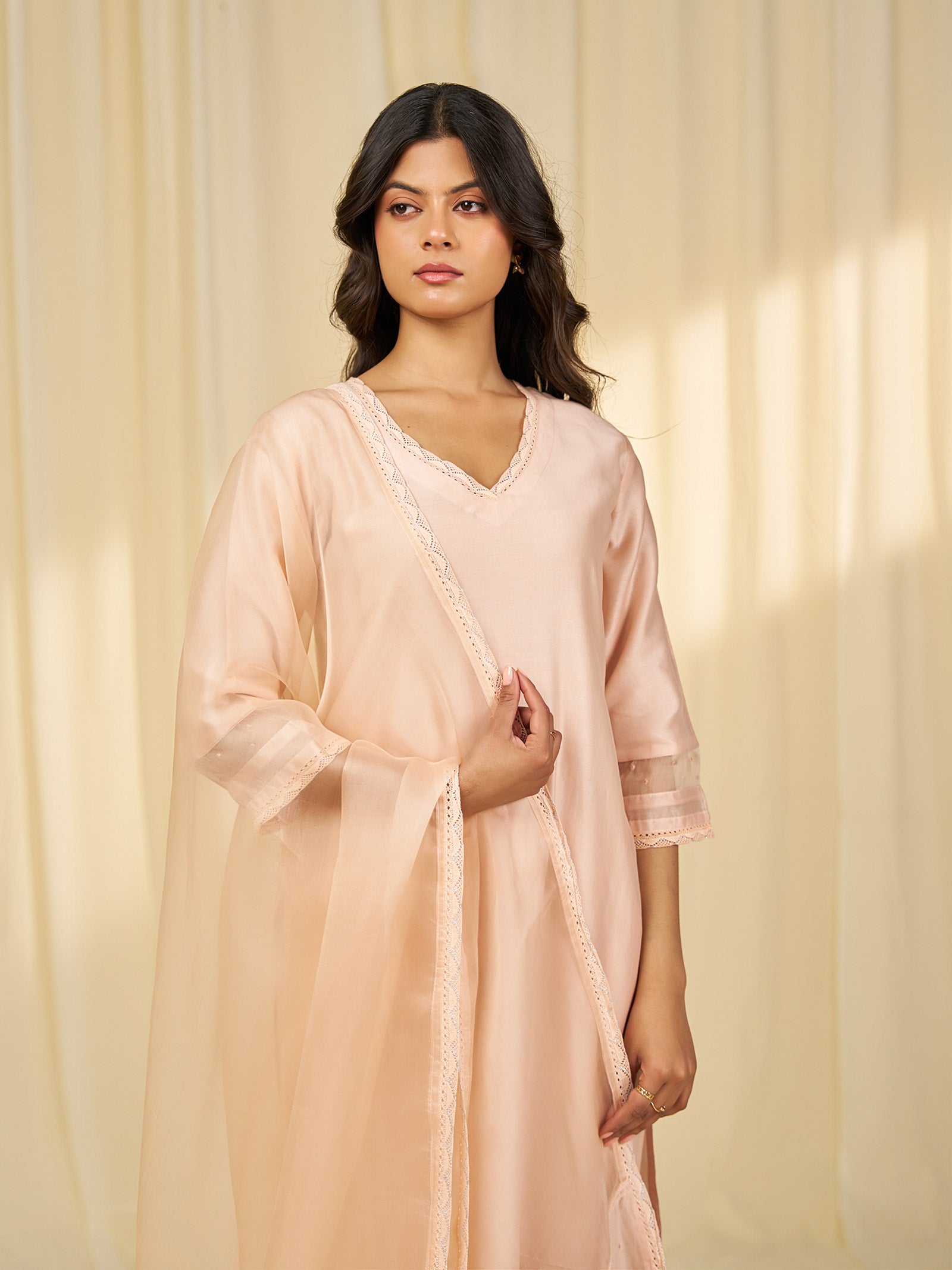 Naturals Blush Organza Dupatta