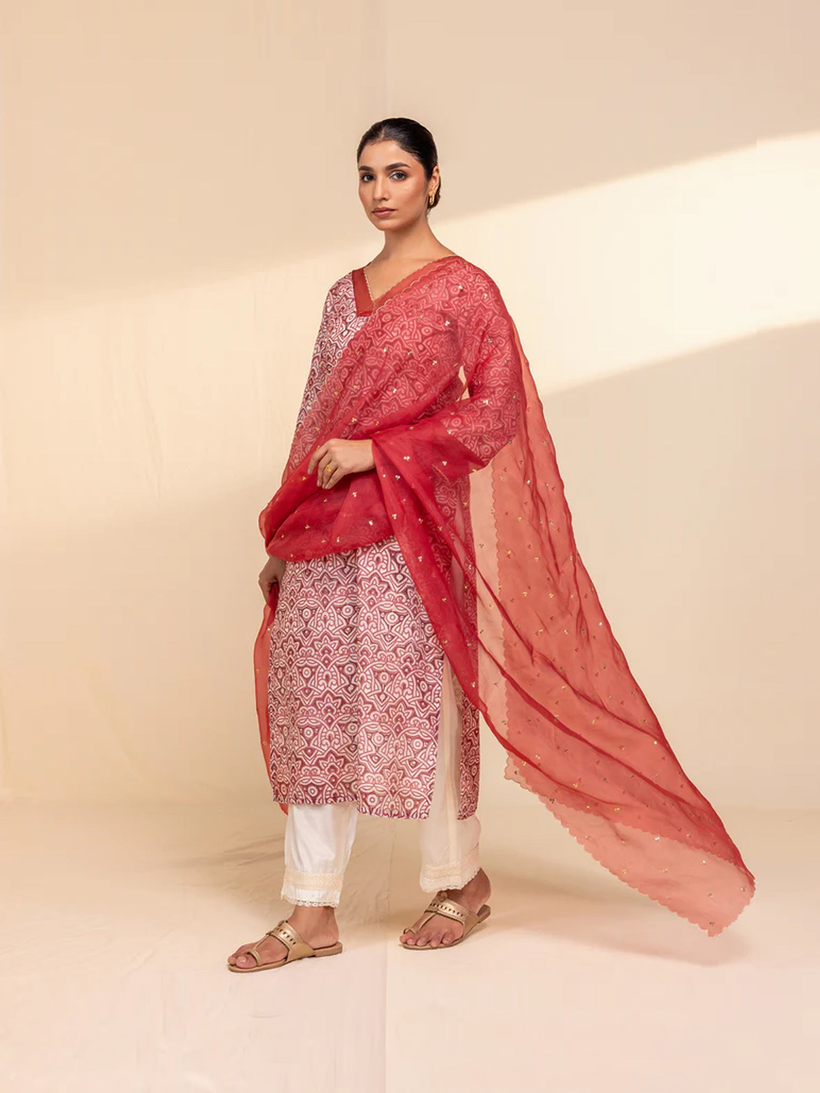 Red Velvet Organza Dupatta