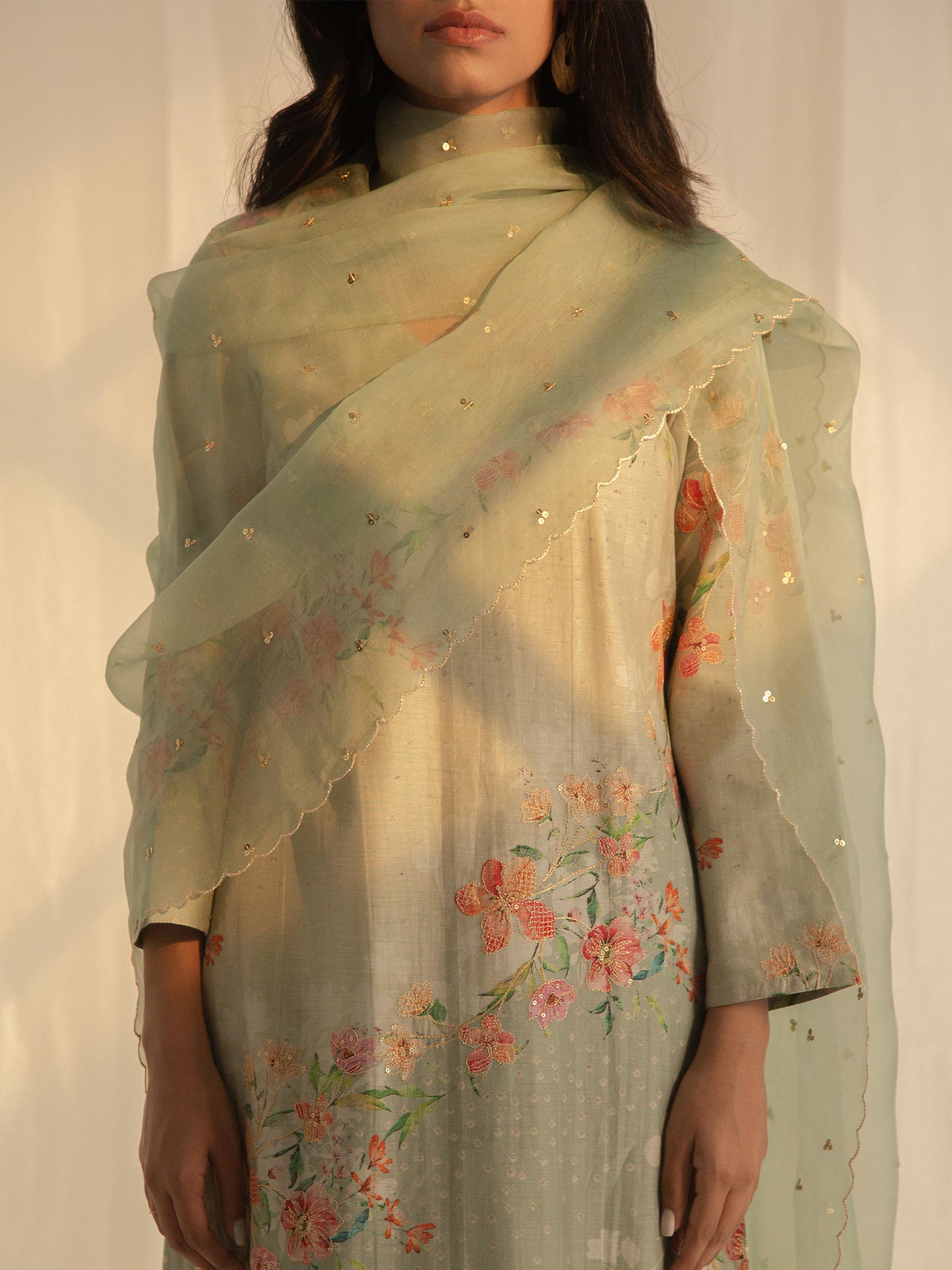 Bandhani Bel Organza Dupatta