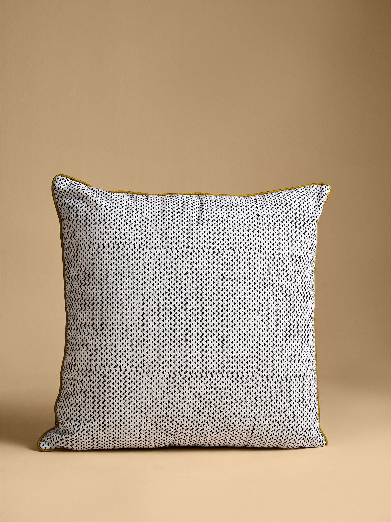 Kumbhalgarh 20" x 20" Cushion Cover