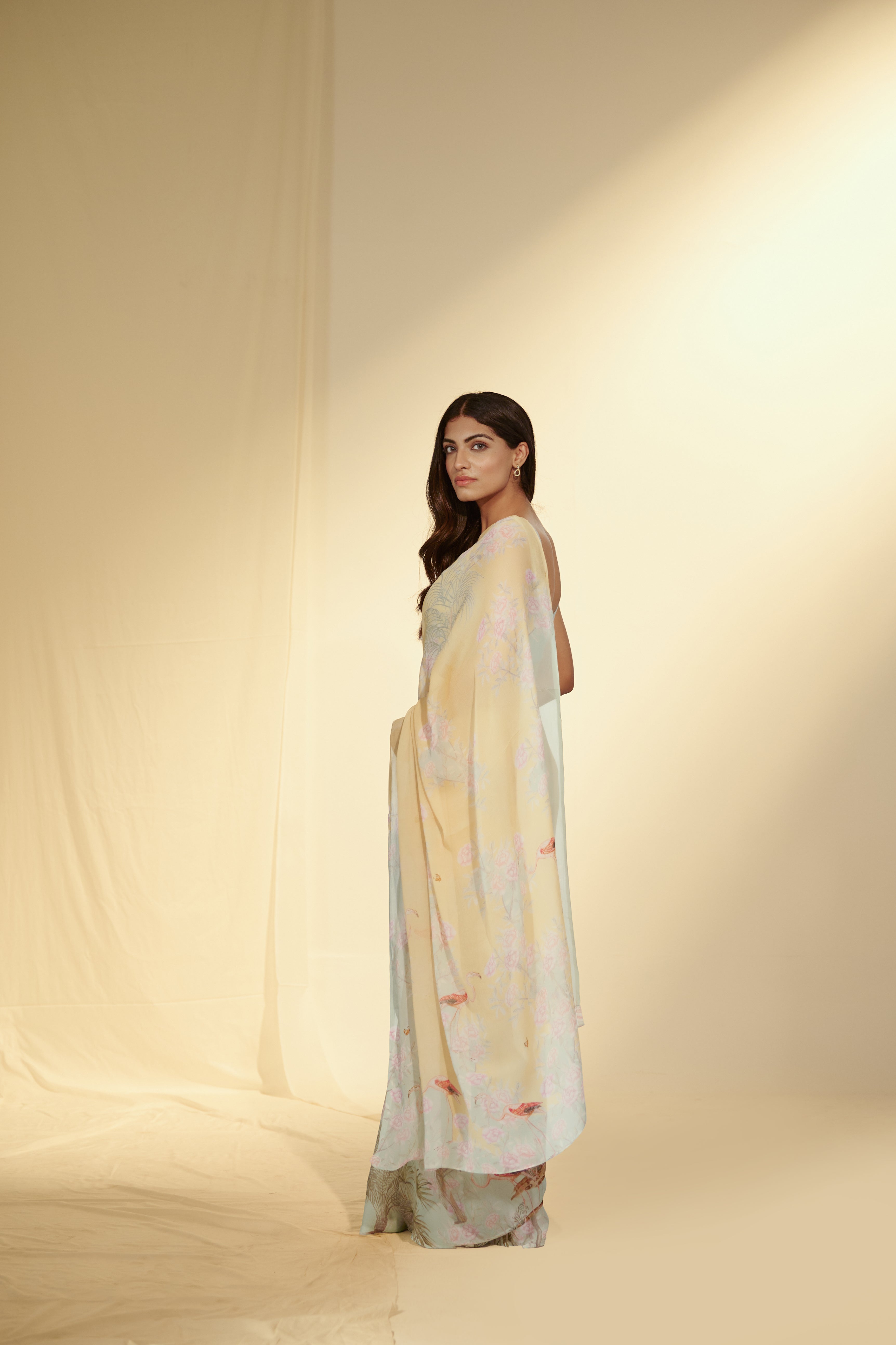 Enchanted Forest - Flamingo & Dates Chiffon Saree