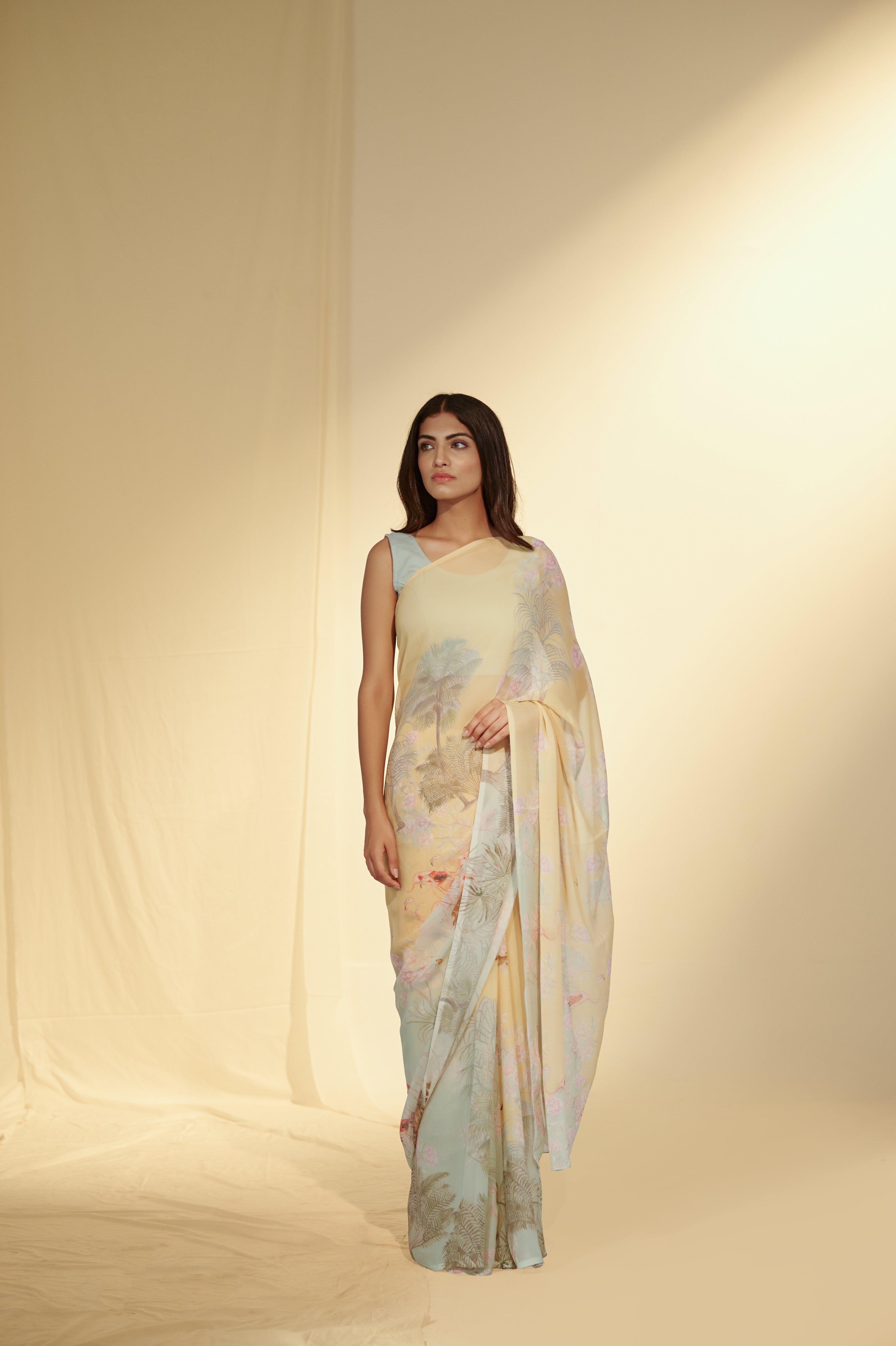 Enchanted Forest - Flamingo & Dates Chiffon Saree