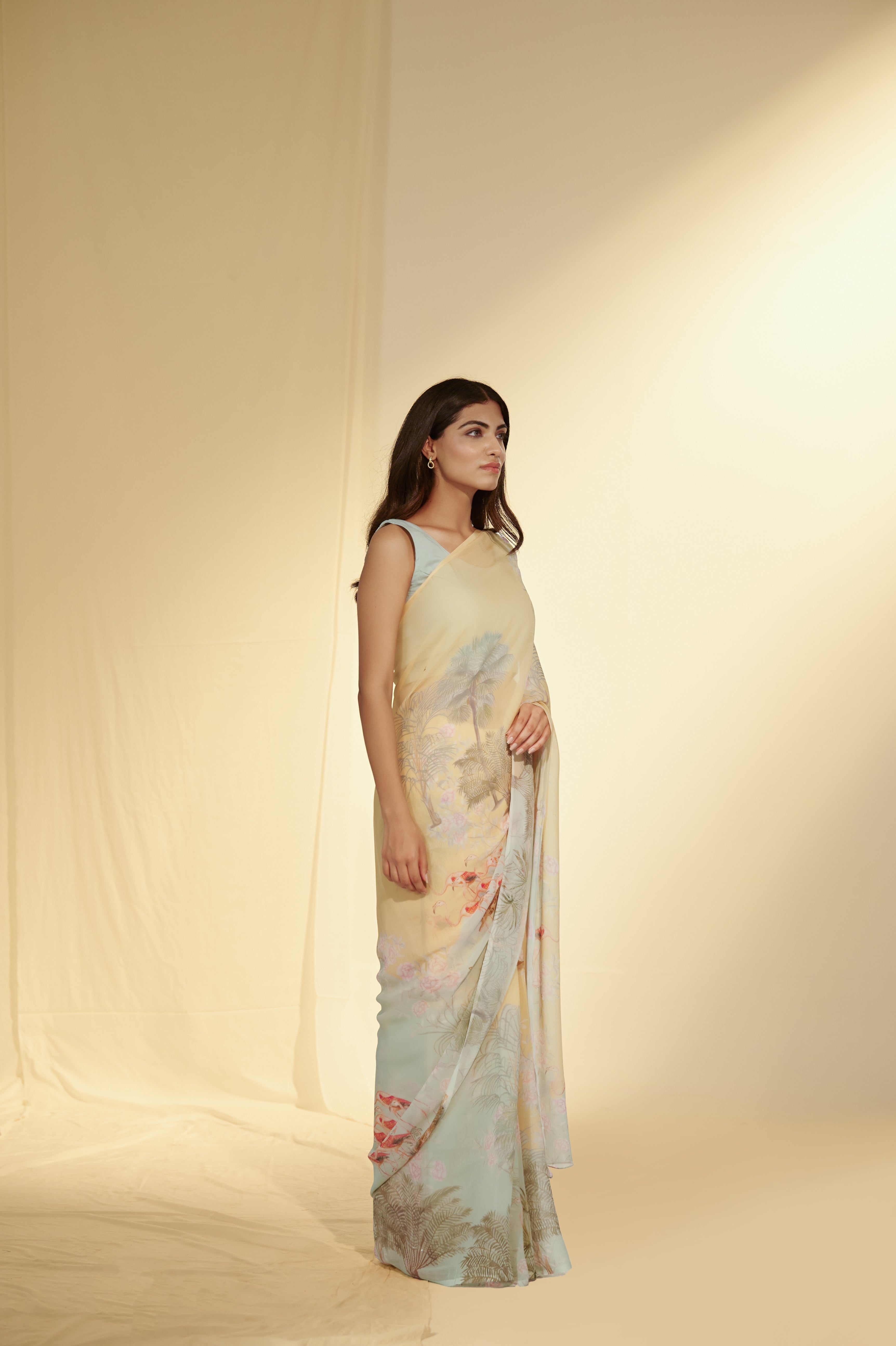 Enchanted Forest - Flamingo & Dates Chiffon Saree