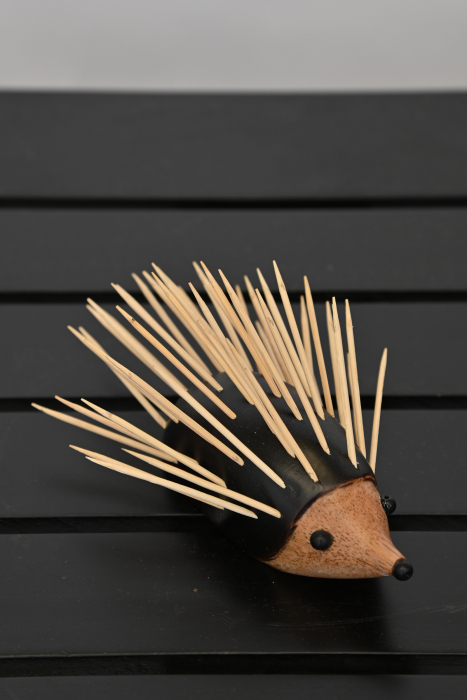 Toothpick Holder - Hedgehog